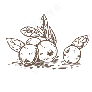 叶片矢量卡通蔓越莓