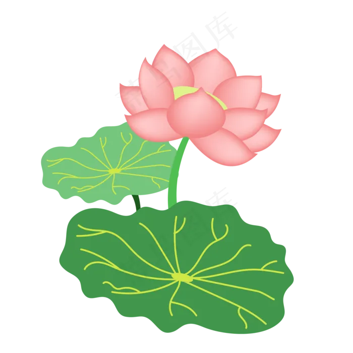 池塘美丽荷花(2000X2000)