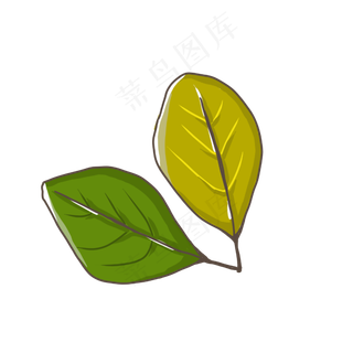 叶子植物小清新