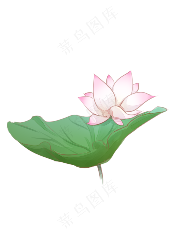 手绘夏日荷花PNG下载(2480X3508(DPI:299))psd模版下载