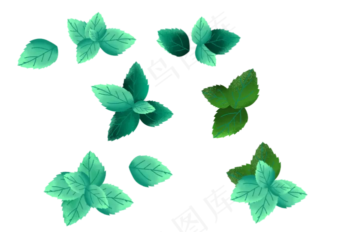 薄荷绿叶薄荷叶植物叶子,免抠元素
