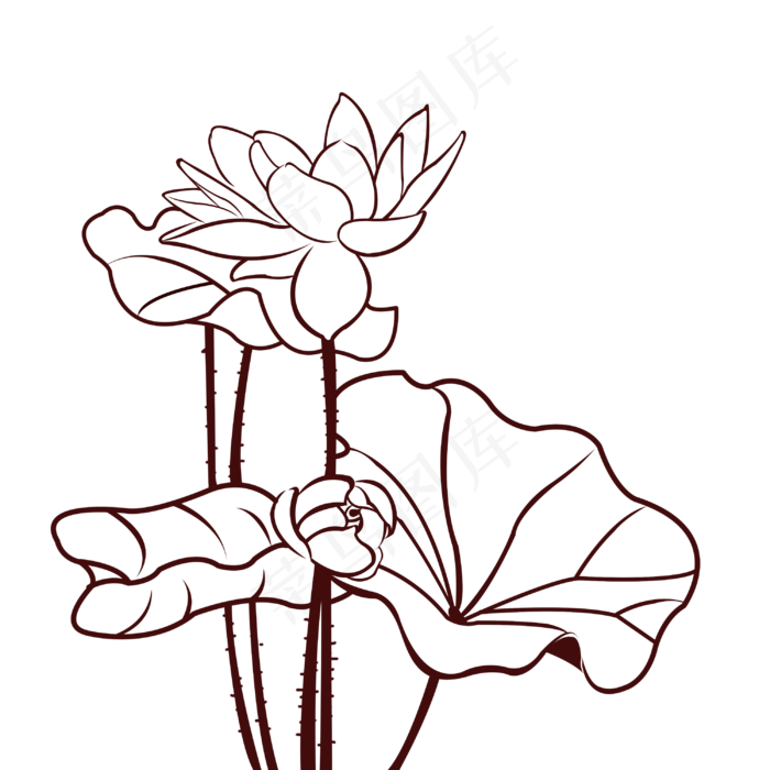 荷花线条图(3000X3000(DPI:300))psd模版下载