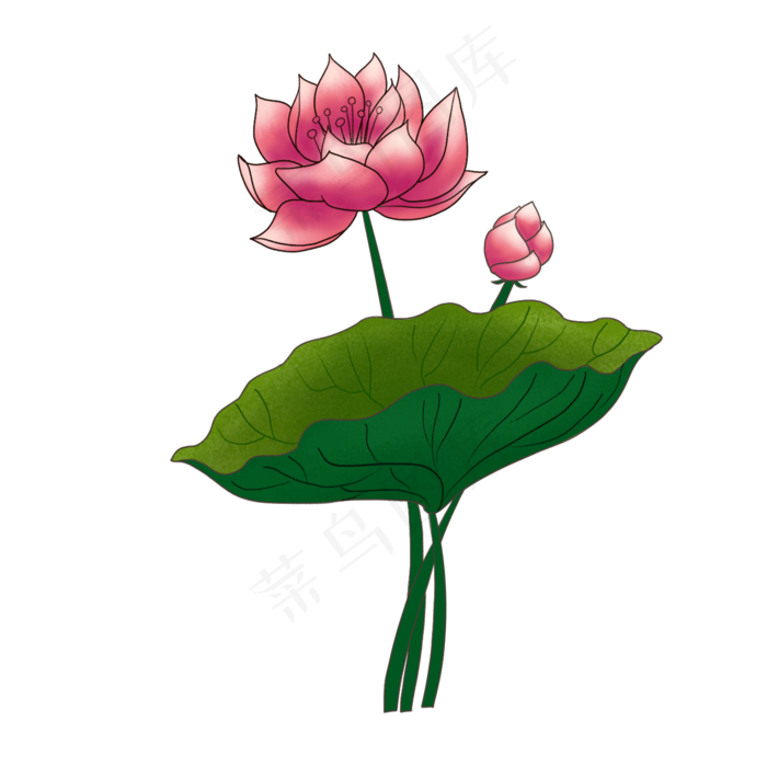 立体荷花花瓣插图