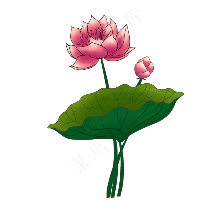 立体荷花花瓣插图(2000X2000(DPI:300))psd模版下载