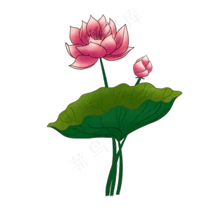 立体荷花花瓣插图