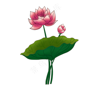 立体荷花花瓣插图