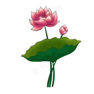 立体荷花花瓣插图