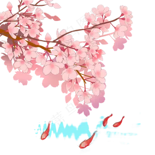 日本春季樱花锦鲤唯美风景,免抠元素 日本春季樱花锦鲤唯美风景,免抠元素