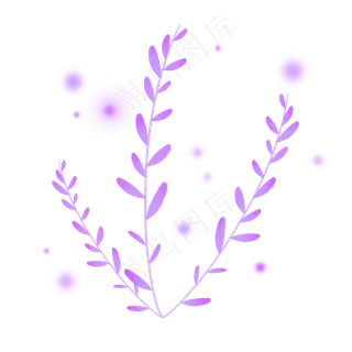 淡紫色清新雅致薰衣草