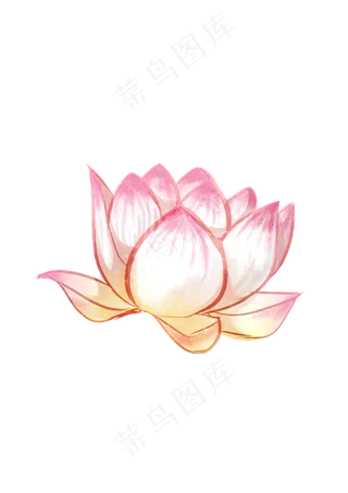 手绘夏日荷花PNG下载