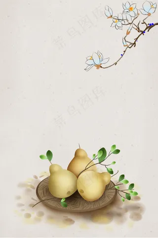 秋季水果新鲜雪梨优惠促销