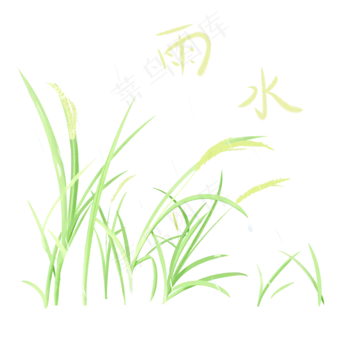 雨水节气手绘稻子,免抠元素(2050X2050(DPI:299))psd模版下载