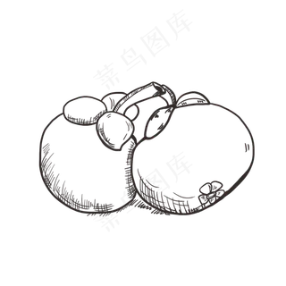 泰国水果线稿手绘