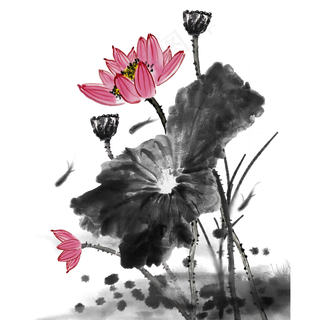 夏天荷花时节水墨荷花