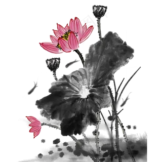 夏天荷花时节水墨荷花