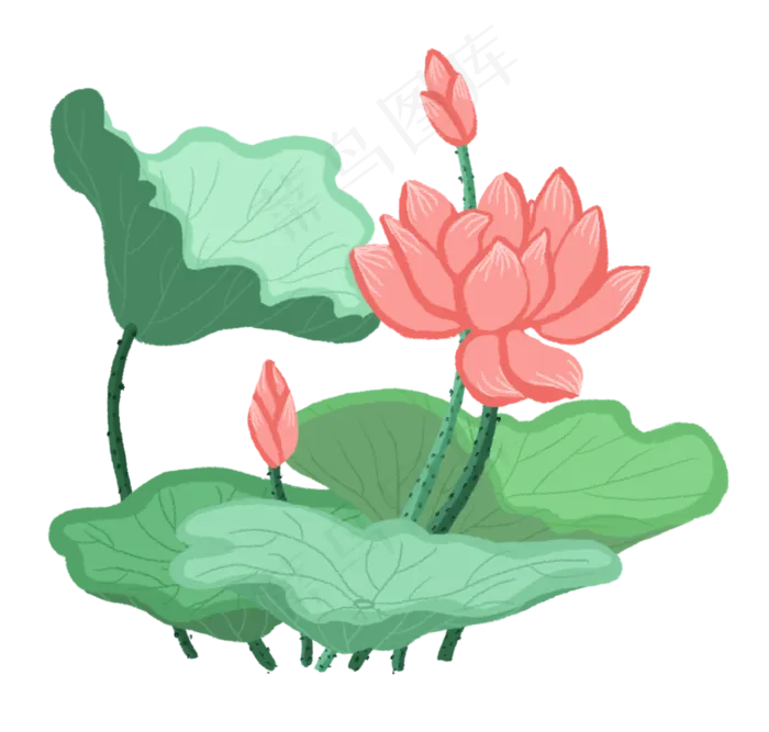 荷花PNG免抠图(2100X2000(DPI:300))psd模版下载