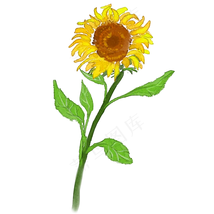 手绘花向日葵水彩风(2000X2000(DPI:300))psd模版下载
