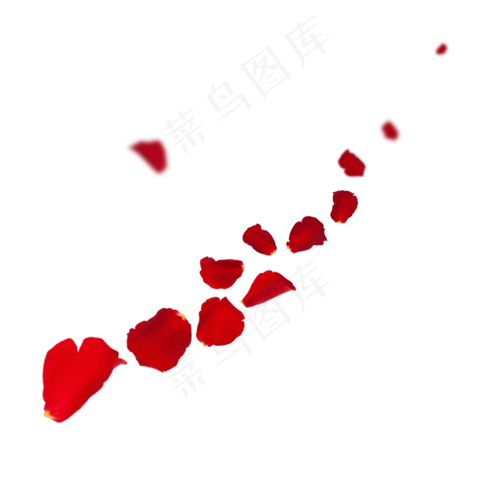 漂浮的红色玫瑰花瓣(2000X2000(DPI:299))psd模版下载
