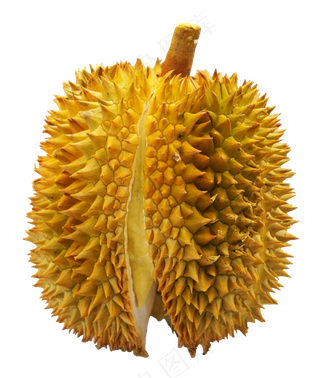 黄色榴莲水果