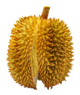 黄色榴莲水果 黄色榴莲水果