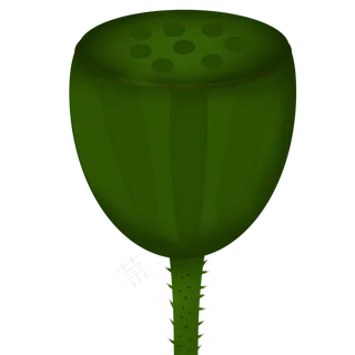 手绘绿色荷花莲子免抠图