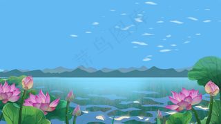 立夏湖水夏日荷花风景山水