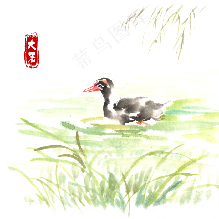大暑河中水鸭,免抠元素