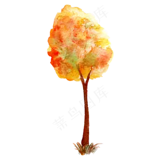 立秋秋季红色枫树