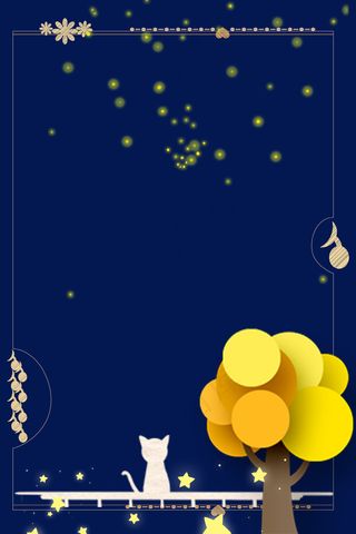 夜晚猫猫和星空边框