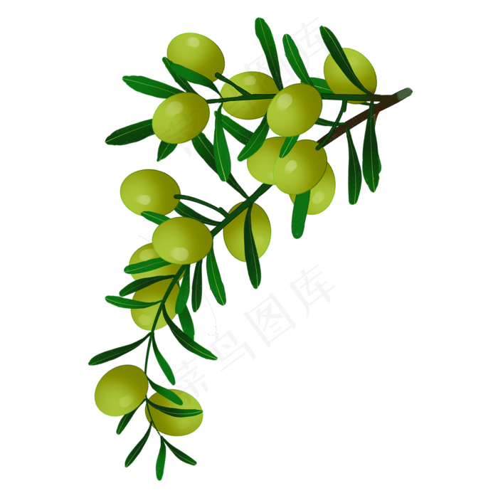 和平大串橄榄枝橄榄果,免抠元素