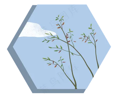 树枝树叶植物叶子蓝天白云