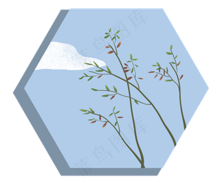 树枝树叶植物叶子蓝天白云