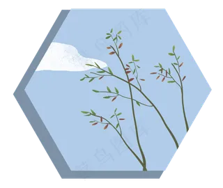 树枝树叶植物叶子蓝天白云