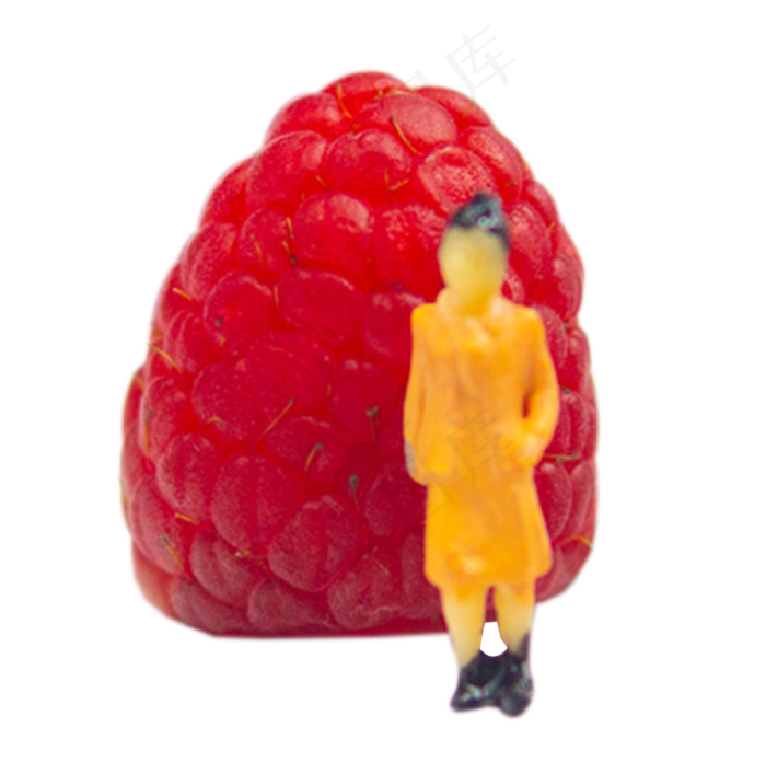 夏日水果系列之红树莓(900X909(DPI:299))psd模版下载