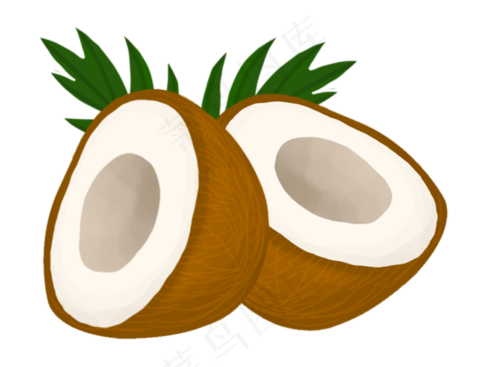 手绘切开的椰子插画
