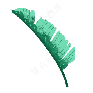 春季棕榈树叶手绘