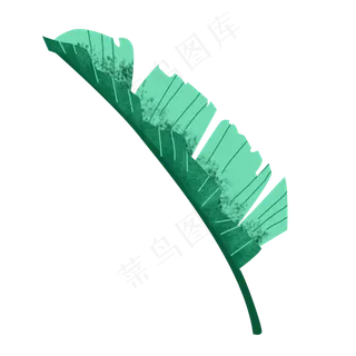 春季棕榈树叶手绘