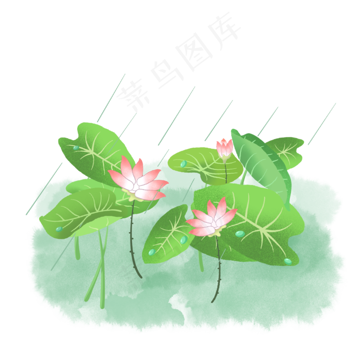 绿色荷叶荷花(2000*2000px 300 dpi )psd模版下载