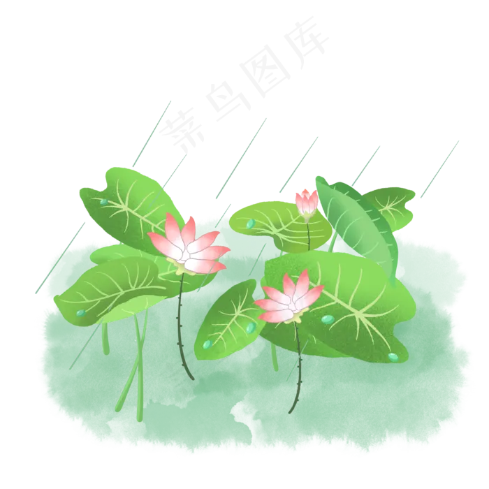 绿色荷叶荷花(2000*2000px 300 dpi )psd模版下载