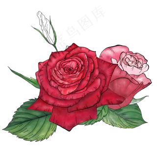 手绘风鲜花玫瑰花朵元素素材 手绘风鲜花玫瑰花朵元素素材