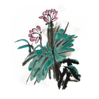 荷花荷叶水墨手绘风