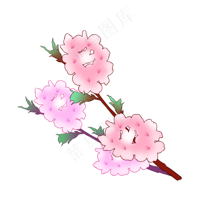 白粉色盛开的樱花插图(2000X2000(DPI:300))psd模版下载