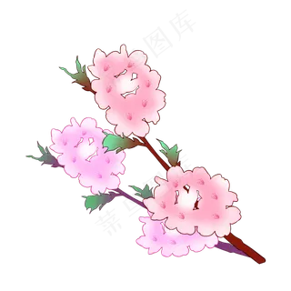 白粉色盛开的樱花插图