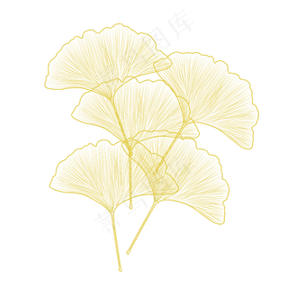 黄色线条银杏叶