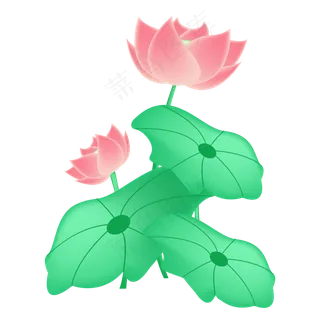 荷花花朵卡通植物