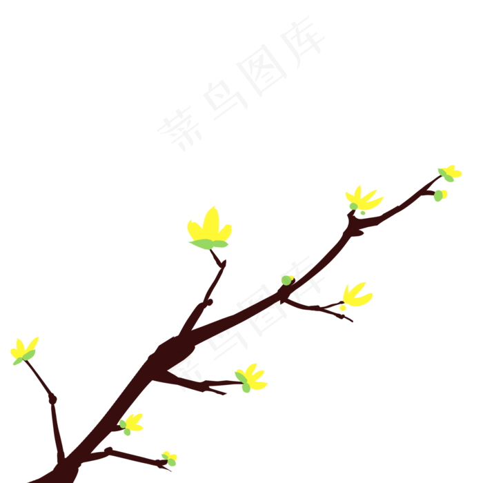 春天黄色的花枝插画