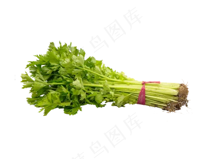 绿色蔬菜芹菜,免抠元素 绿色蔬菜芹菜,免抠元素