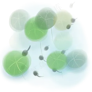 水墨淡彩荷叶和,免抠元素