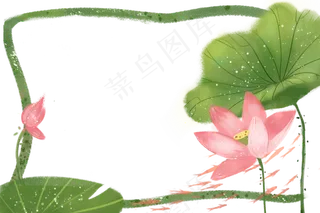荷花边框夏日池塘荷花和金鱼