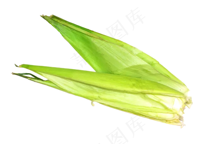 苞米叶玉米皮(3000*2000px 300 dpi )